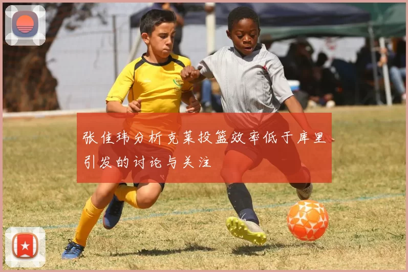 张佳玮分析克莱投篮效率低于库里引发的讨论与关注
