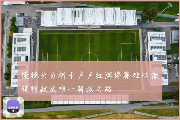 慢镜头分析卡卢卢红牌停赛难以撤销特赦成唯一解救之路